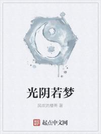 光阴若梦章节列表