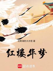红楼华梦章节列表