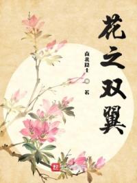 花之双翼章节列表