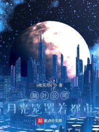 脑叶公司：月光笼罩着都市章节列表