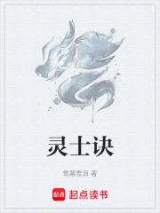 灵士诀章节列表