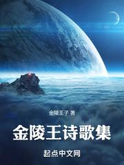 金陵王诗歌集章节列表