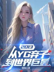 2013：从YG弃子到世界巨星章节列表