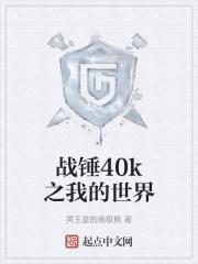 战锤40k之我的世界章节列表