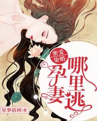 蜜爱染婚：孕妻哪里逃章节列表