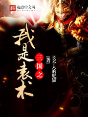 三国之我是袁术章节列表