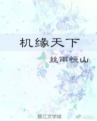机缘天下章节列表