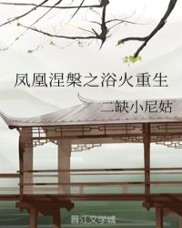 凤凰涅槃之浴火重生章节列表