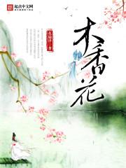 木香花章节列表