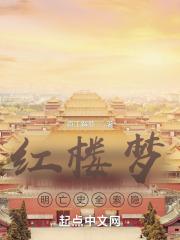 红楼梦明亡史全索隐章节列表