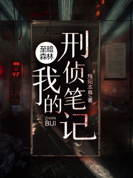 至暗森林：我的刑侦笔记章节列表