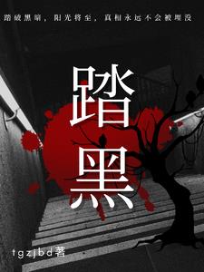 踏黑章节列表