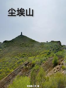 尘埃山章节列表
