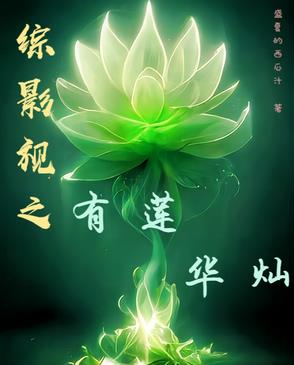 综影视之有莲华灿章节列表