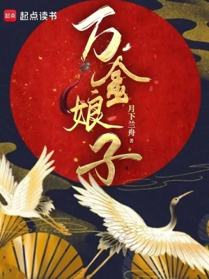 万金娘子章节列表