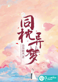 同枕异梦章节列表