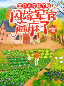 重回六零抢个婚，闪嫁军官赢麻了章节列表