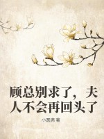 顾总别求了，夫人不会再回头了章节列表