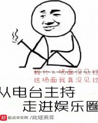从电台主持走进娱乐圈章节列表