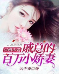 只婚不爱：戚总的百万小娇妻章节列表