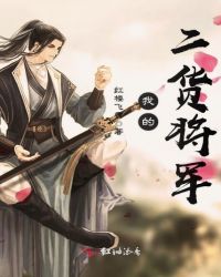 我的二货将军章节列表