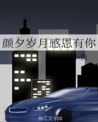 颜夕岁月感恩有你章节列表