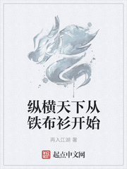 纵横天下从铁布衫开始章节列表
