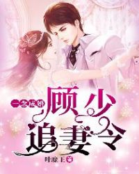 一念成婚：顾少追妻令章节列表