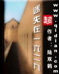 迷失在一六二九章节列表