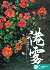 港雾章节列表