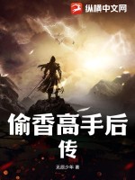 偷香高手后传章节列表
