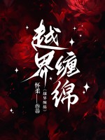 越界缠绵章节列表