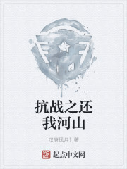 抗战之还我河山章节列表