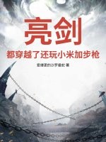 亮剑：都穿越了还玩小米加步枪？章节列表