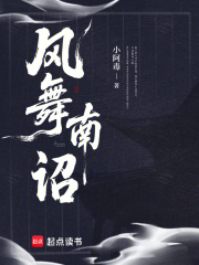 风舞南诏章节列表