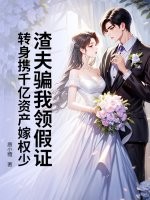 渣夫骗我领假证，转身携千亿资产嫁权少章节列表