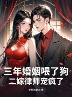 三年婚姻喂了狗，二嫁律师宠疯了章节列表