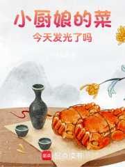 小厨娘的菜，今天又发光了吗章节列表