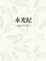 永光纪章节列表