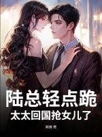 陆总轻点跪，太太回国抢女儿了章节列表