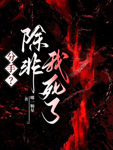 分手？除非我死了章节列表
