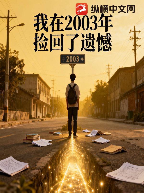 我在2003捡回了遗憾章节列表