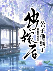 出嫁后公子他疯了章节列表