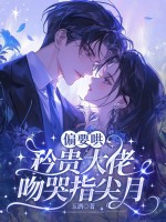 偏要哄，矜贵大佬吻哭指尖月章节列表