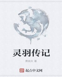 灵羽传记章节列表