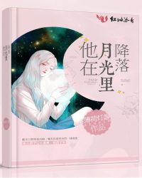 他在月光里降落章节列表