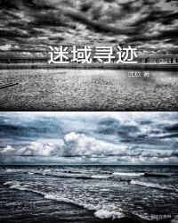 迷域寻迹章节列表