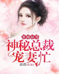 神秘总裁宠妻忙章节列表