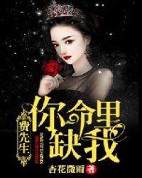 费先生，你命里缺我章节列表