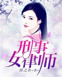 刑事女律师章节列表
